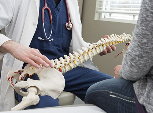 Chiropractor Shoreview MN